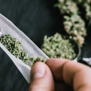 Utilisation d'un mélange de plantes et herbes à fumer